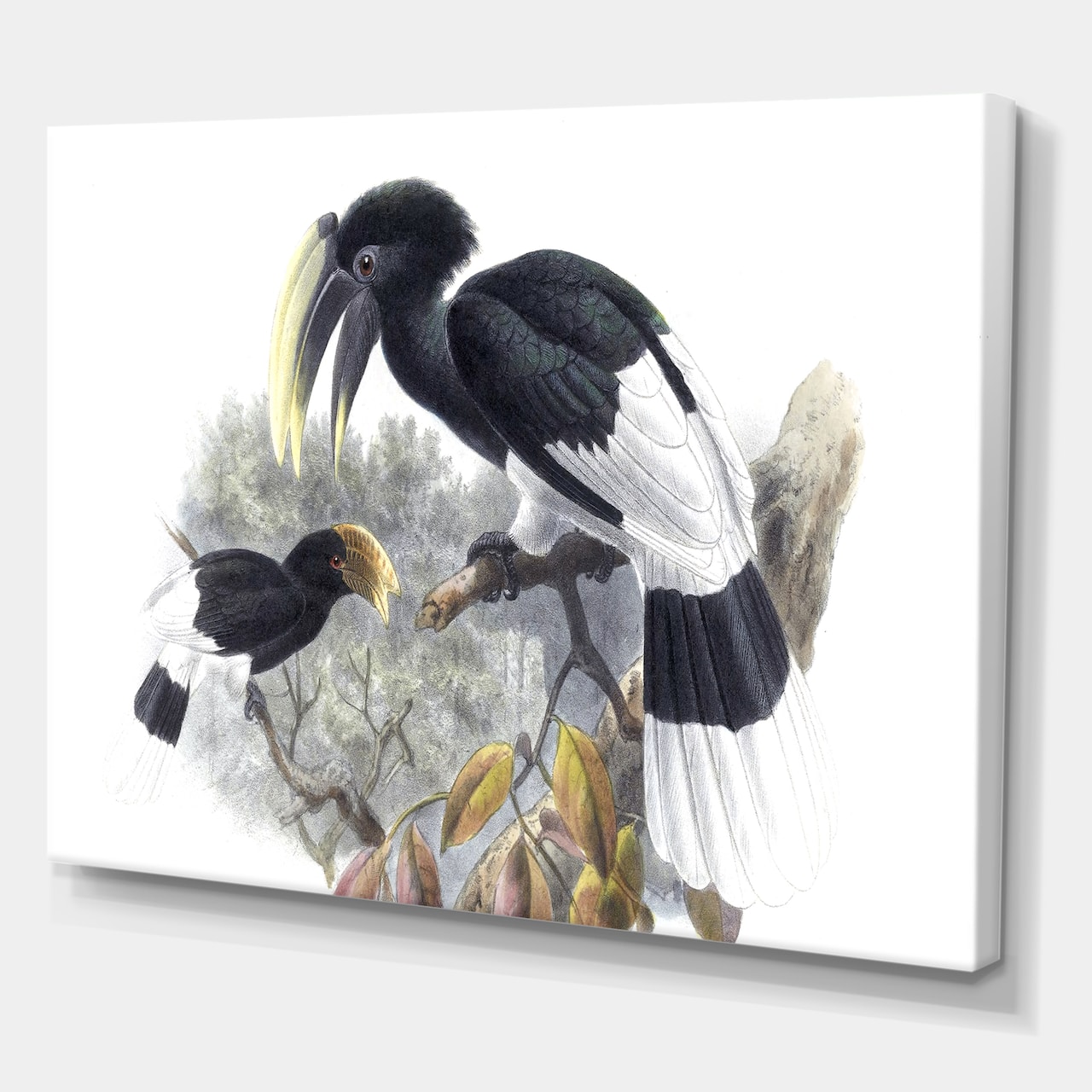 Designart - Vintage Bird Illustration I - Traditional Canvas Wall Art Print